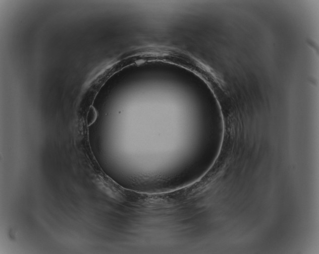 X0000093771448200710161233