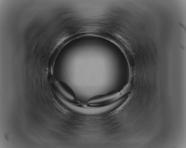 X0000093771449200710161233
