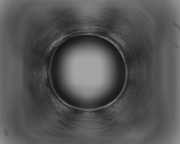 X0000093771451200710161233