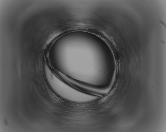 X0000093771453200710161233