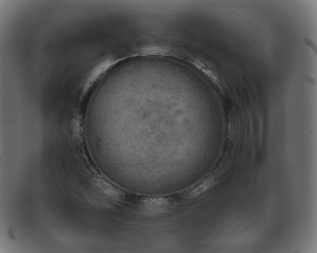 X0000093771454200710161233
