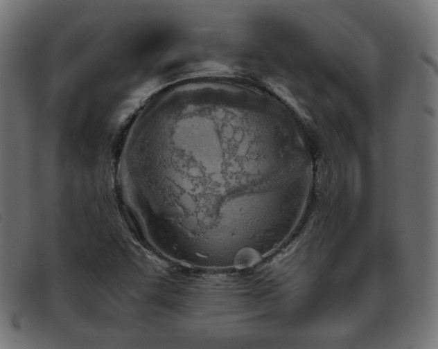 X0000093771455200710161233