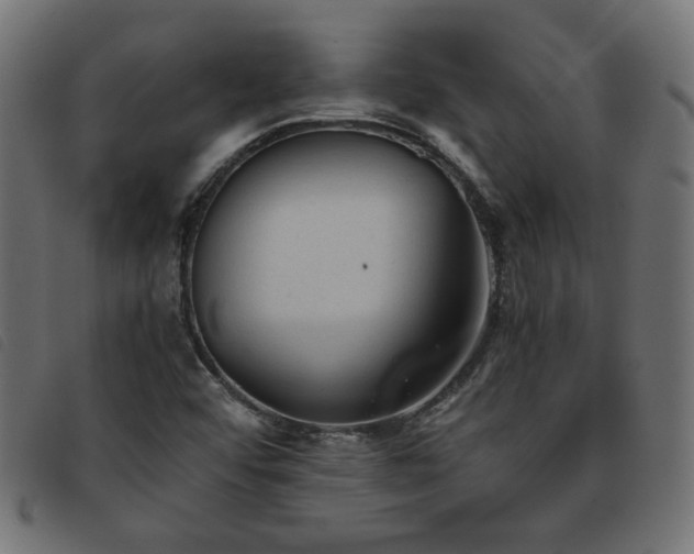 X0000093771456200710161233