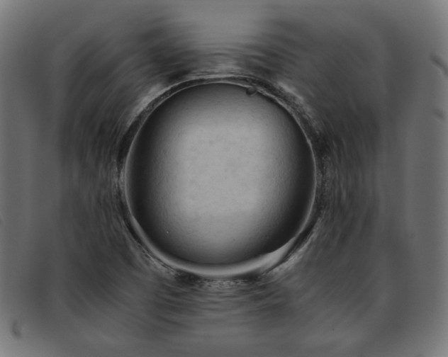 X0000093771457200710161233