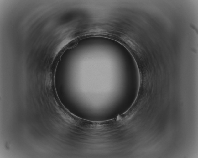 X0000093771458200710161233