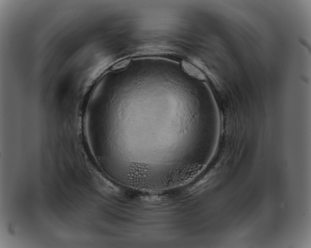 X0000093771459200710161233