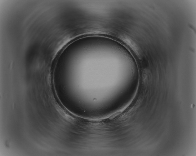X0000093771460200710161233