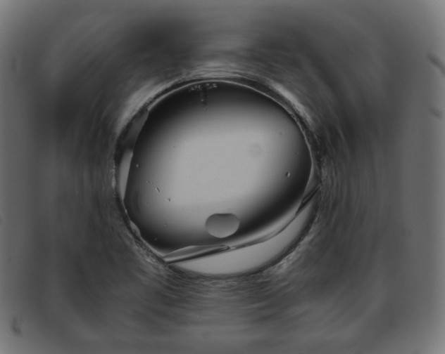 X0000093771461200710161233