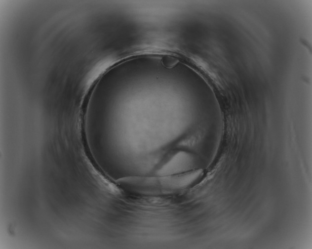 X0000093771463200710161233