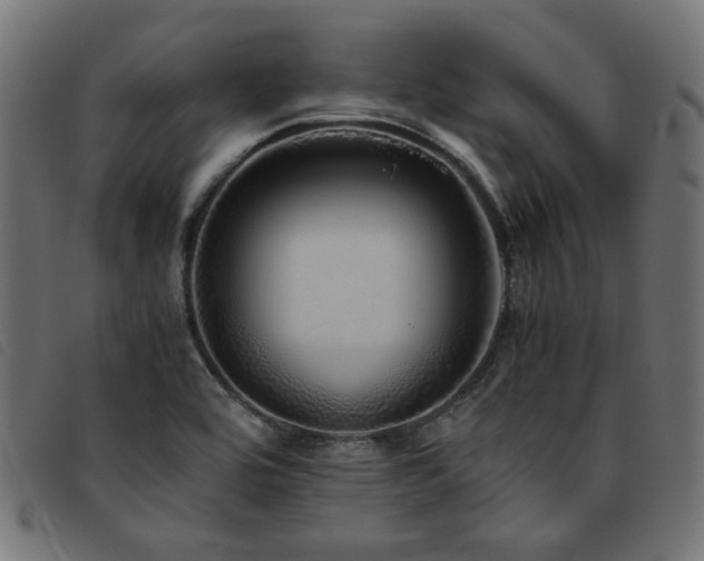 X0000093771464200710161233