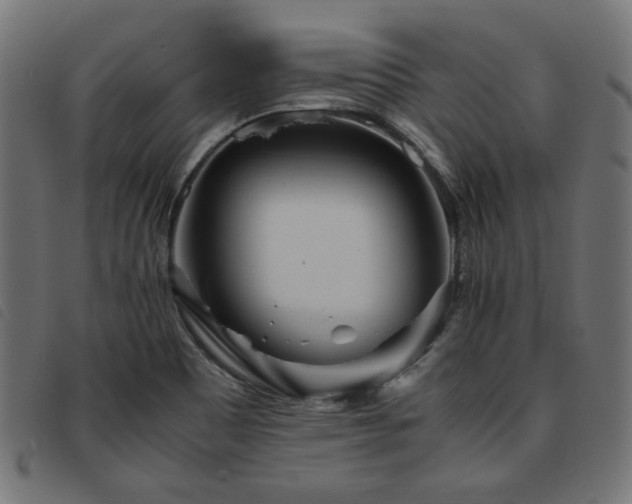 X0000093771465200710161233