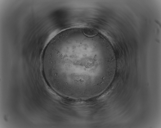 X0000093771467200710161233