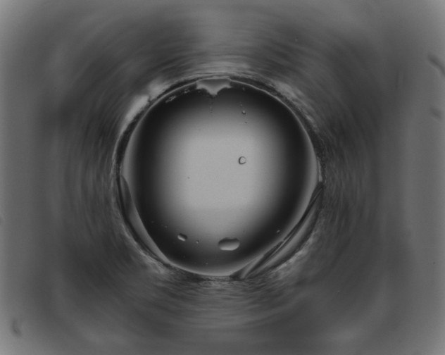 X0000093771469200710161232
