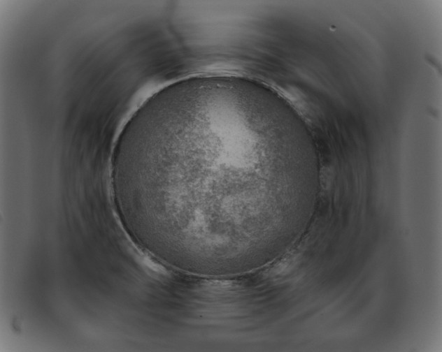 X0000093771470200710161232