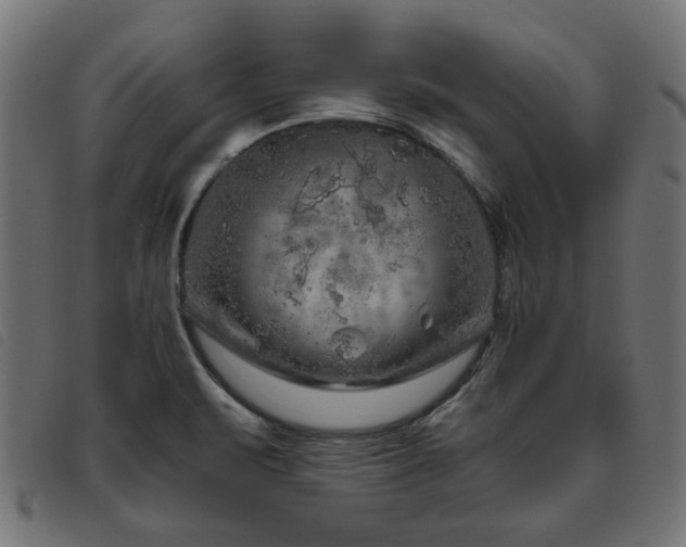 X0000093771471200710161232