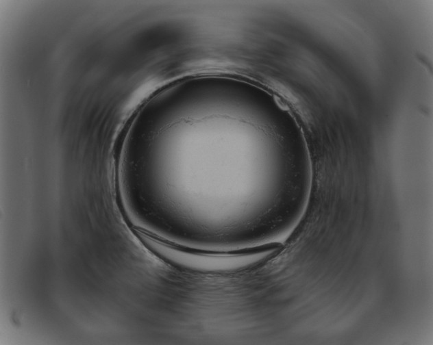 X0000093771472200710161232