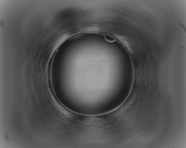 X0000093771475200710161232