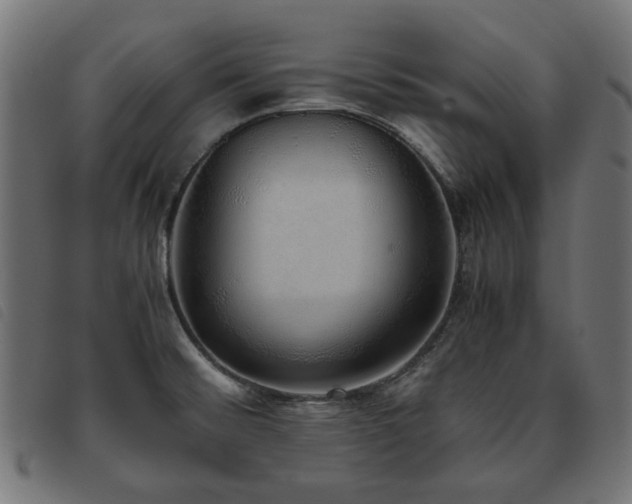X0000093771476200710161232