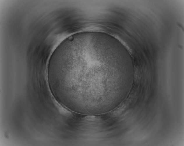 X0000093771478200710161232