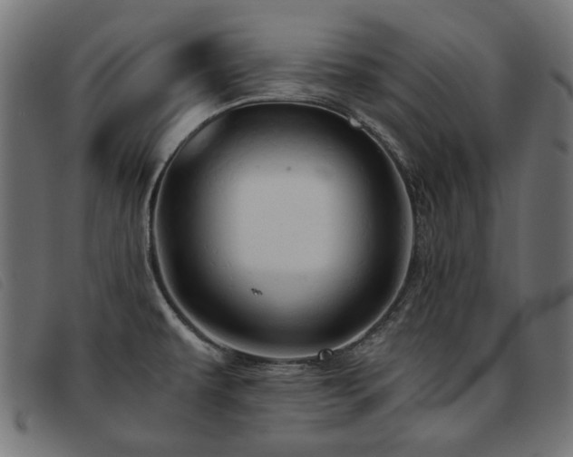 X0000093771479200710161232