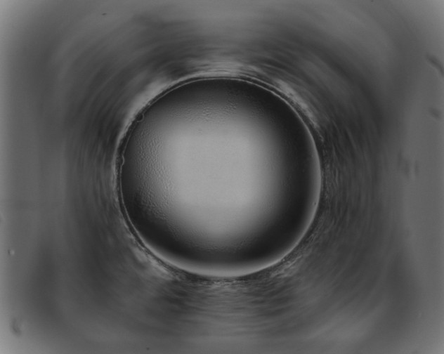 X0000093771480200710161232