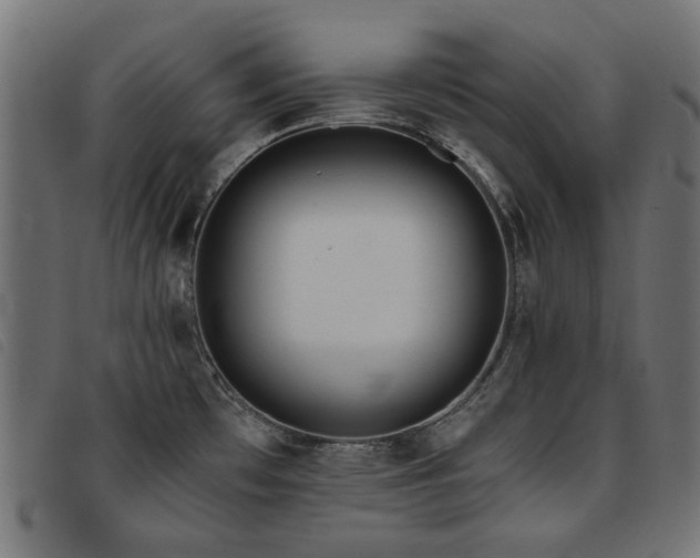 X0000093771481200710161232