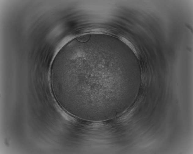 X0000093771482200710161232