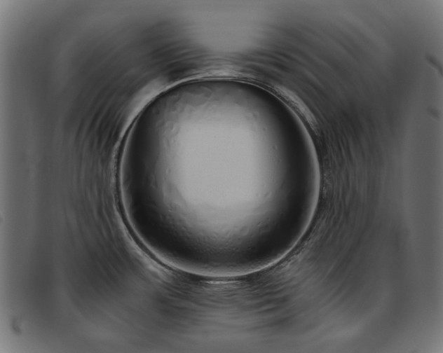 X0000093771483200710161232
