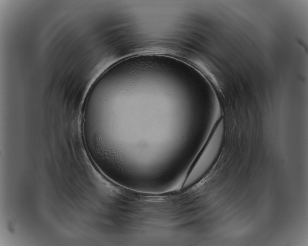 X0000093771484200710161232