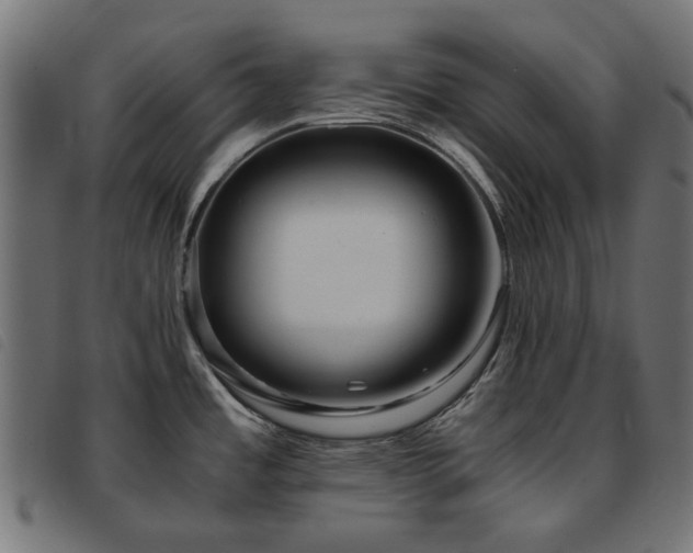 X0000093771485200710161232