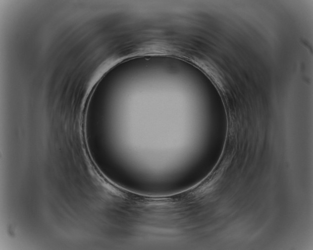 X0000093771486200710161232