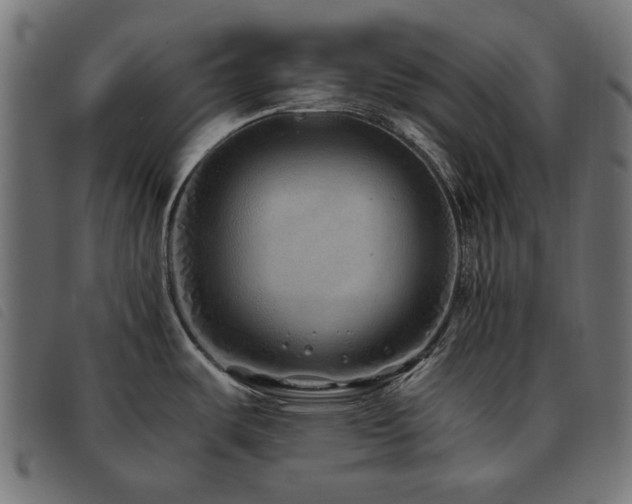 X0000093771487200710161232