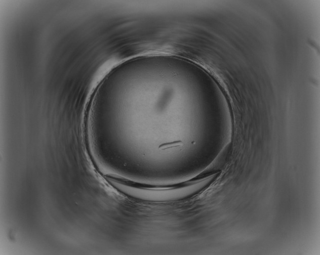 X0000093771488200710161232