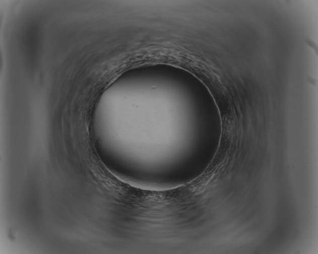 X0000093771489200710161232