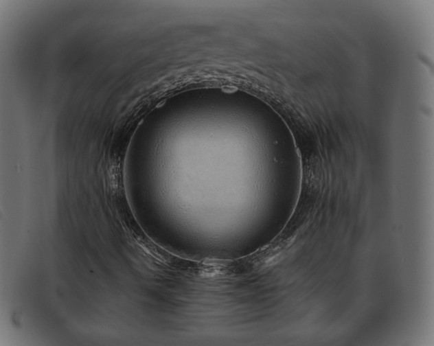 X0000093771490200710161232