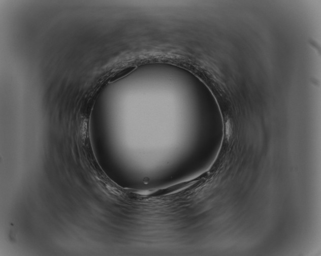 X0000093771492200710161232