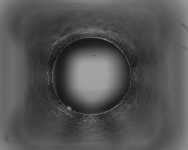 X0000093771493200710161232
