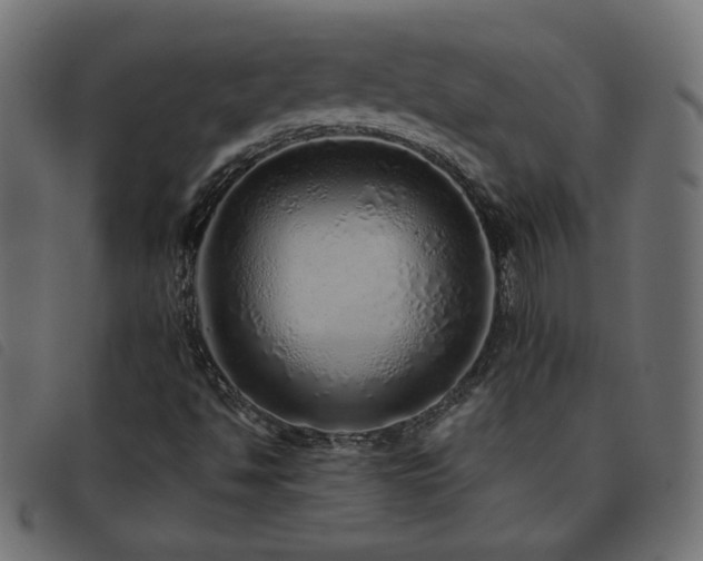 X0000093771494200710161232
