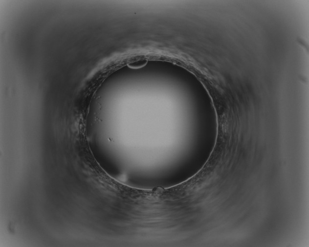 X0000093771495200710161232