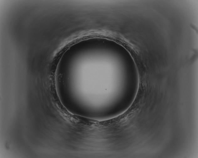 X0000093771496200710161232