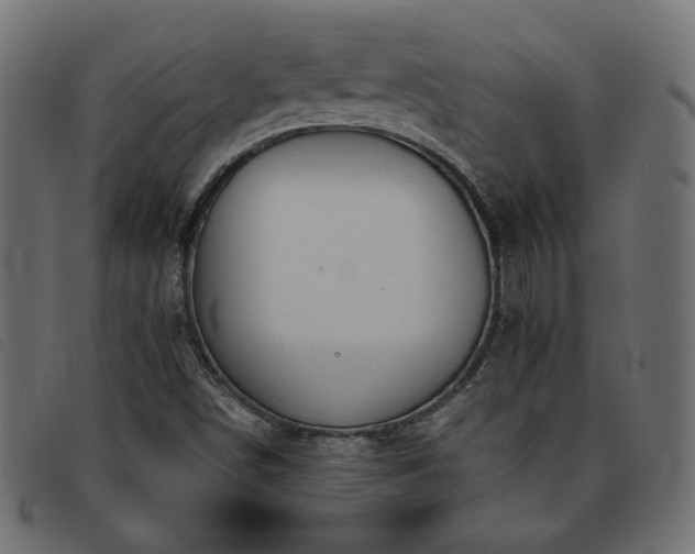 X0000093771498200710161232