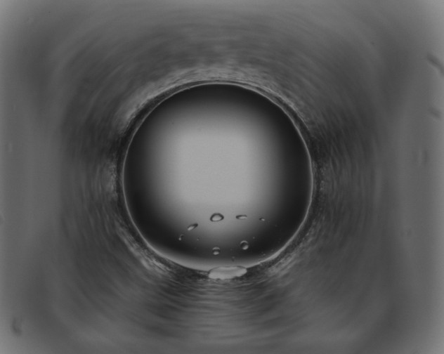 X0000093771499200710161232