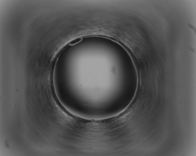 X0000093771500200710161232