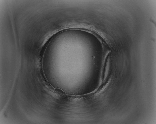 X0000093771501200710161232