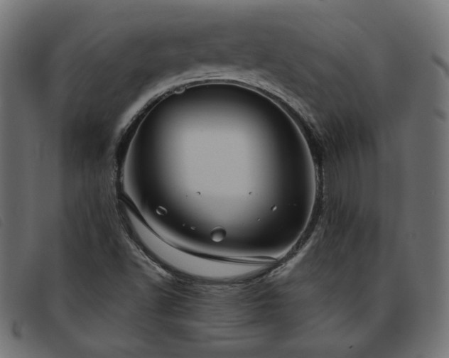 X0000093771502200710161232