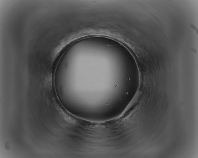 X0000093771503200710161232