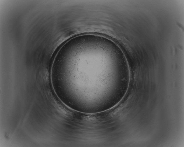 X0000093771505200710161232