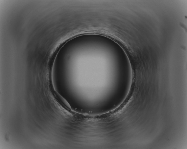 X0000093771506200710161232