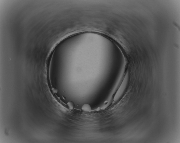X0000093771508200710161232