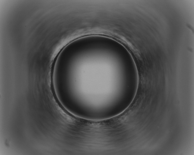X0000093771512200710161232